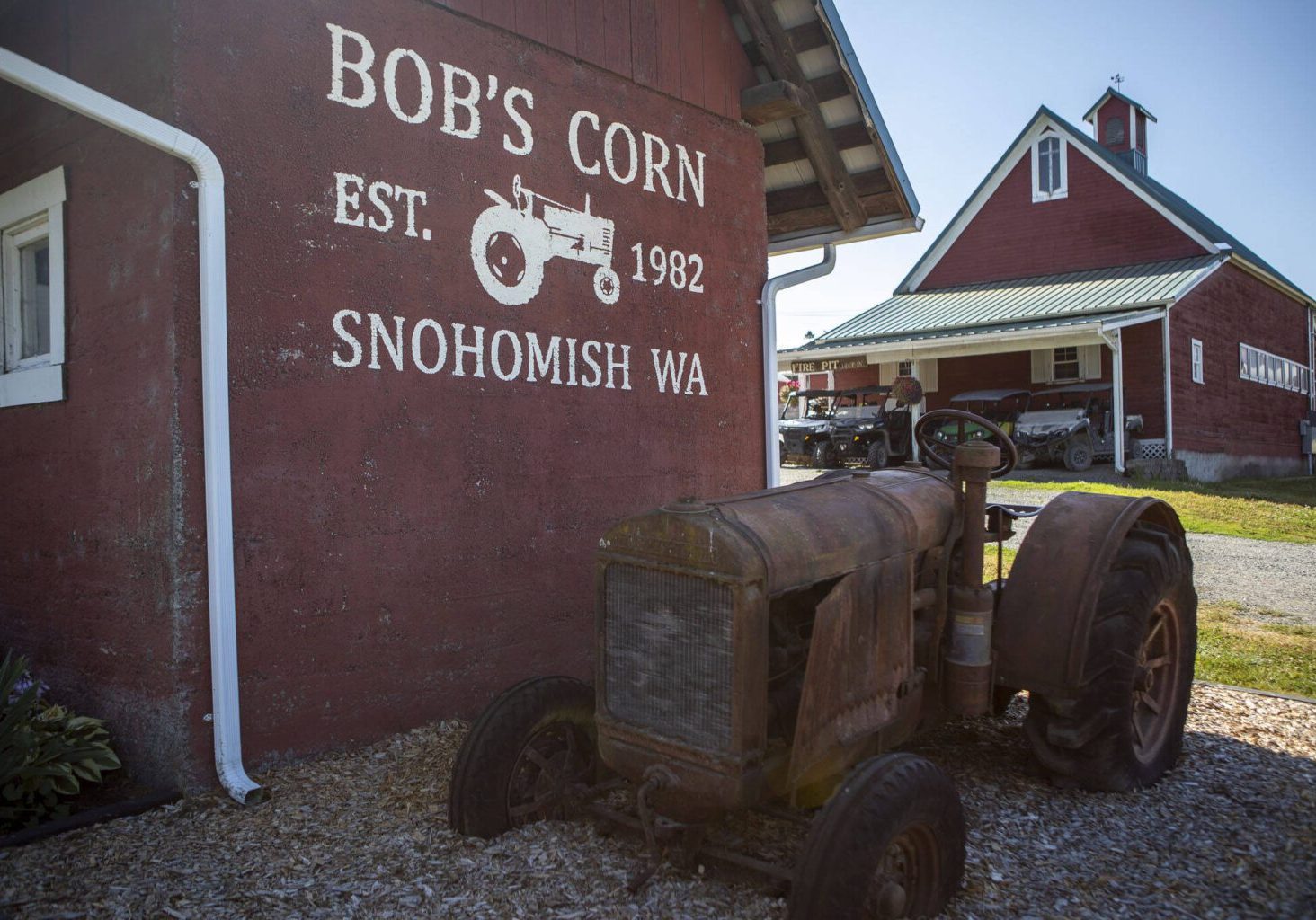 bob's corn and pumpkin